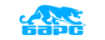 Барс